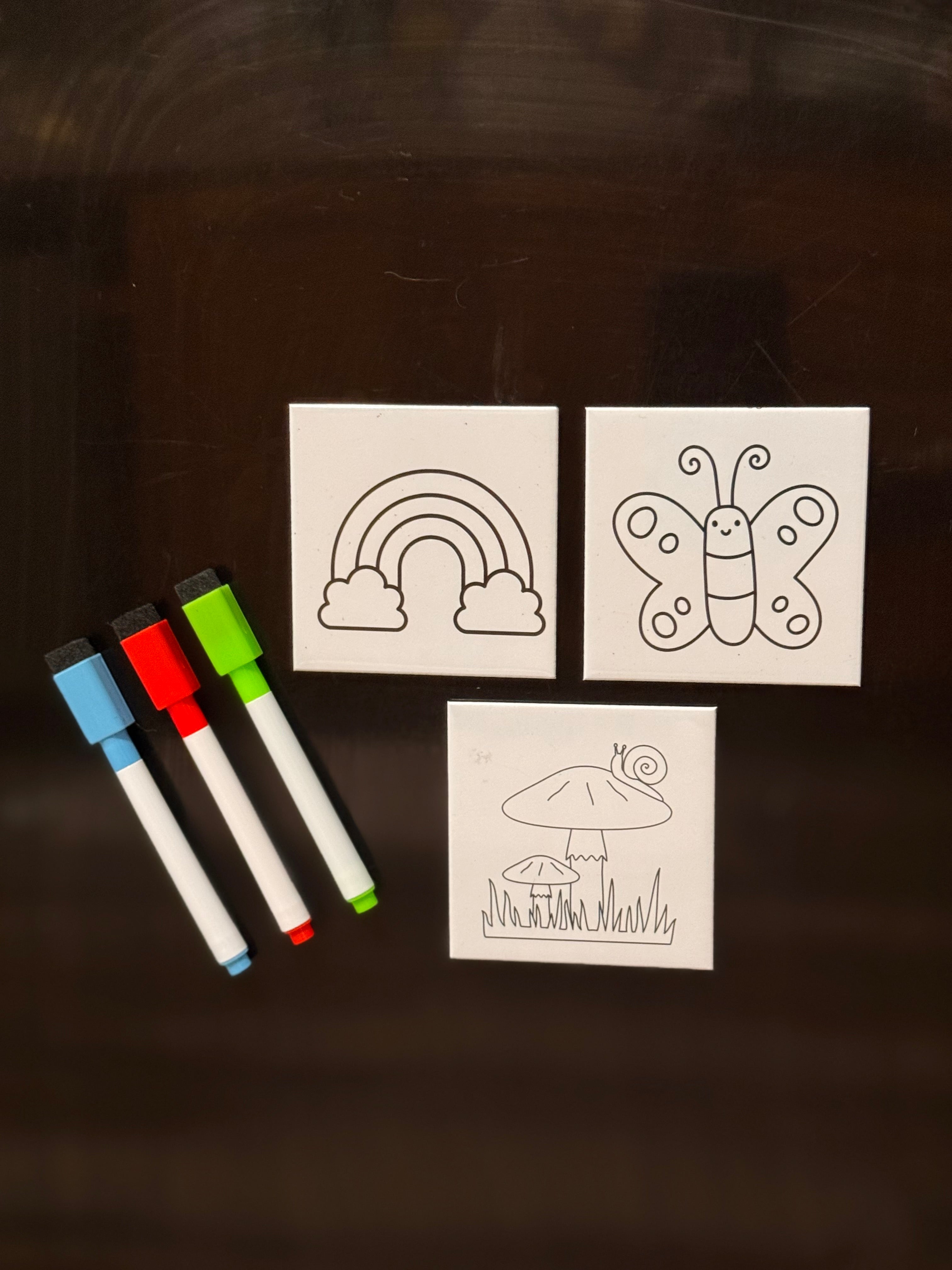 Coloring Magnet kit