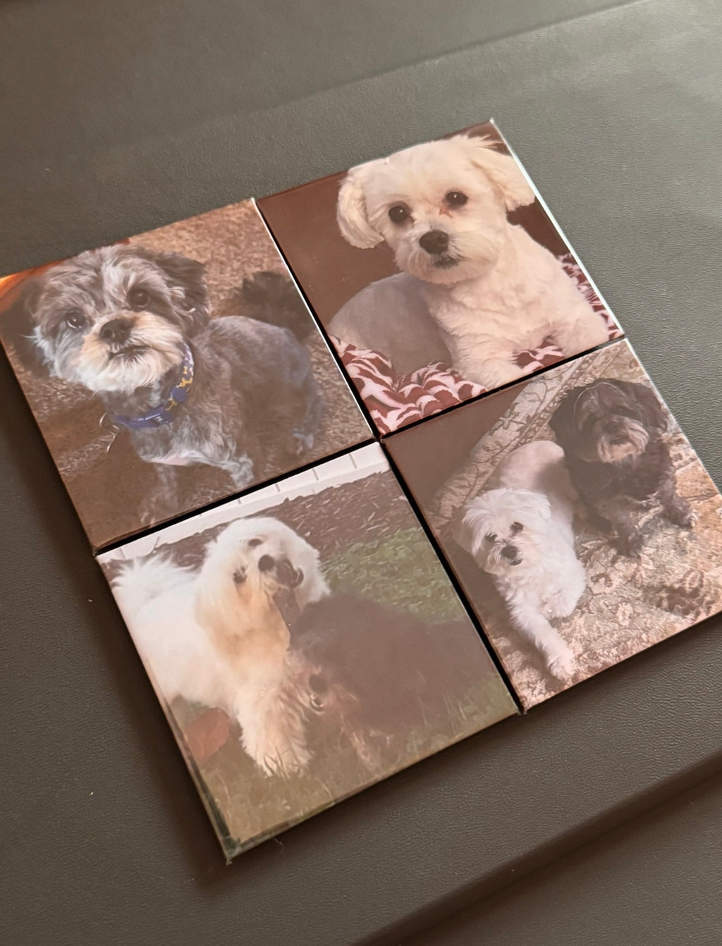 10 2.5x2.5 Custom Photo Magnets